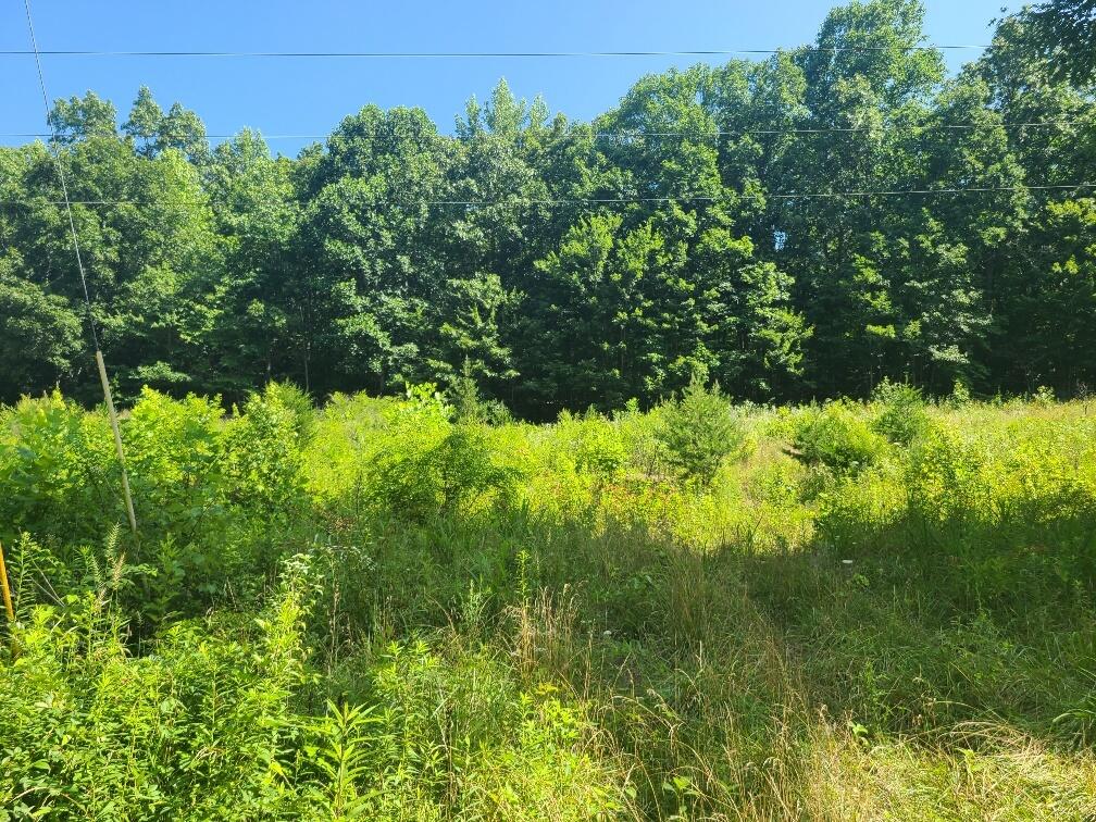 225 Overlook Trail Spring City, TN 37381 - Photo 41 of 49 20220705_110425_resized