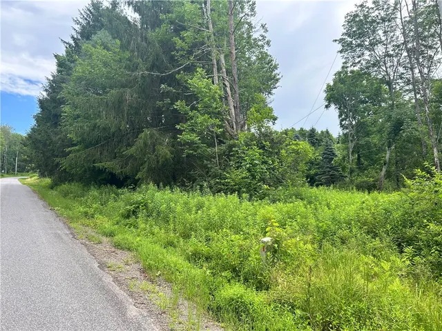 $19,900 | Lot 4 Sisson Hill Road, Unadilla, NY 13849