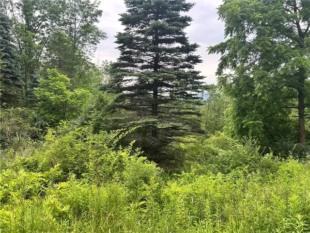 $19,900 | Lot 4 Sisson Hill Road, Unadilla, NY 13849