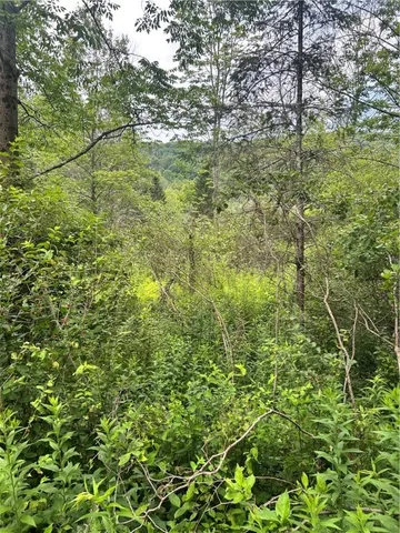 $19,900 | Lot 4 Sisson Hill Road, Unadilla, NY 13849