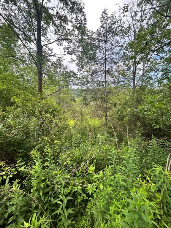 Lot 4 Sisson Hill Road Unadilla, NY 13849 - Photo 6 of 8