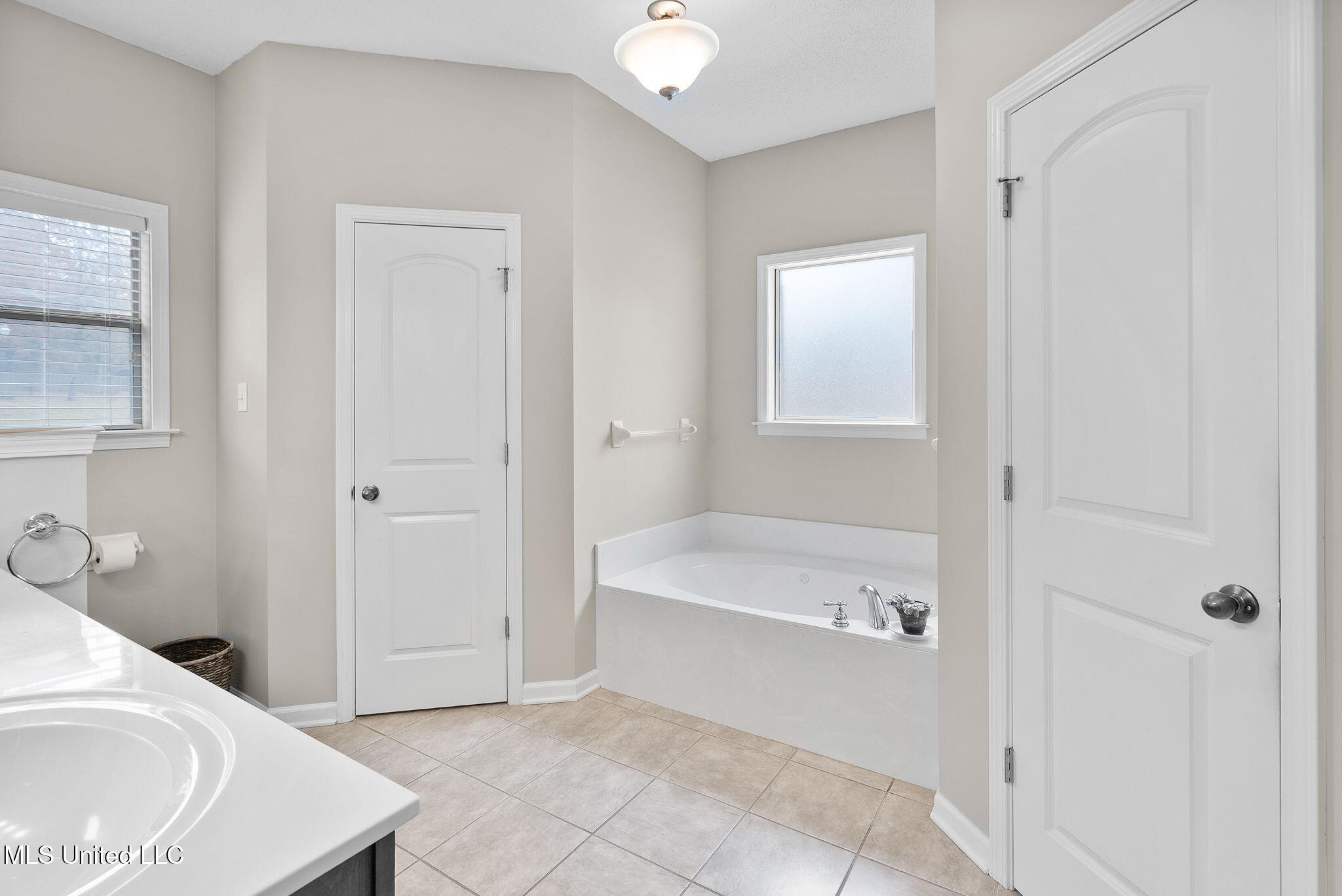 3456 Susie Circle Nesbit, MS 38651 - Photo 22 of 50 Primary Bath!