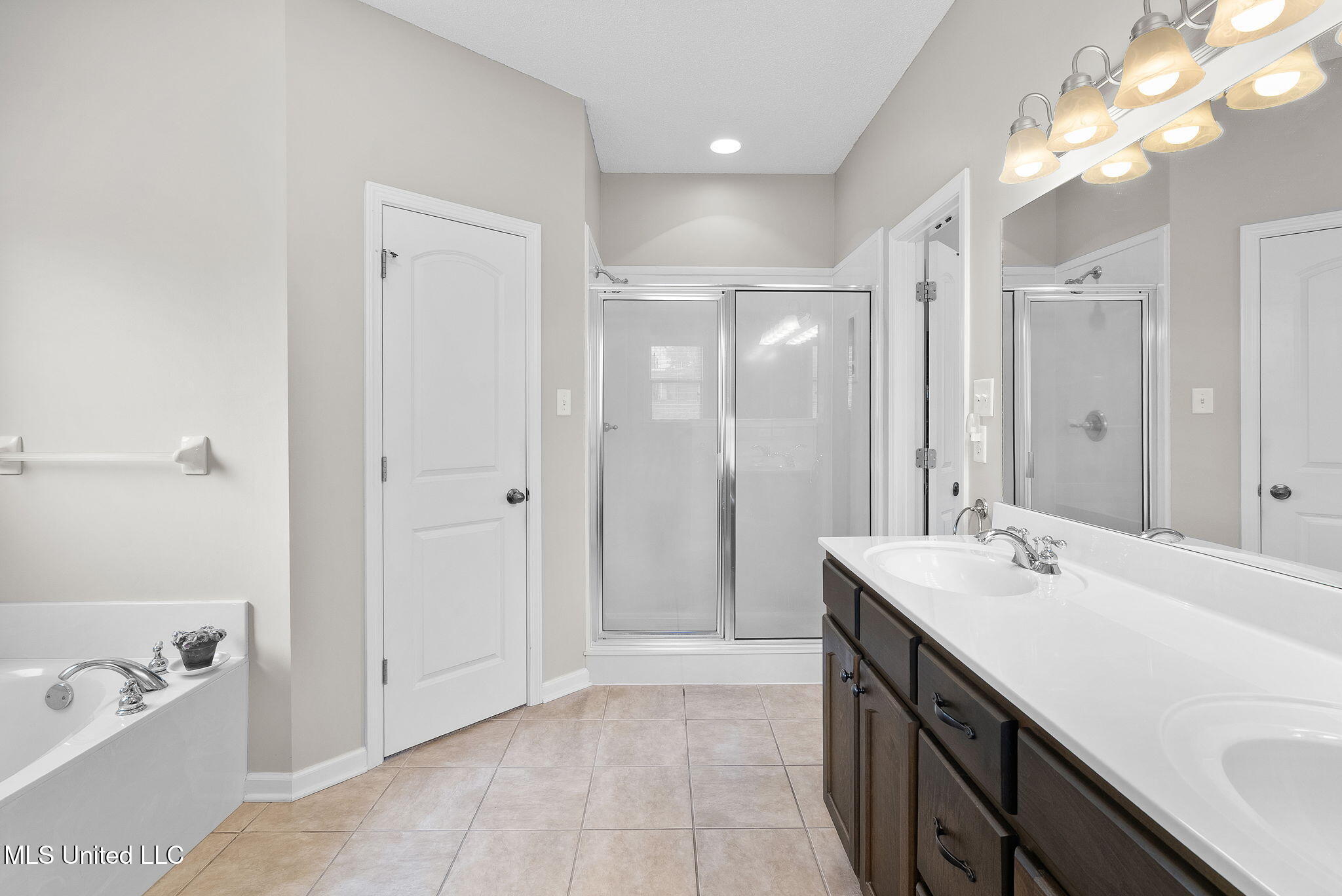 3456 Susie Circle Nesbit, MS 38651 - Photo 23 of 50 Primary Bath!