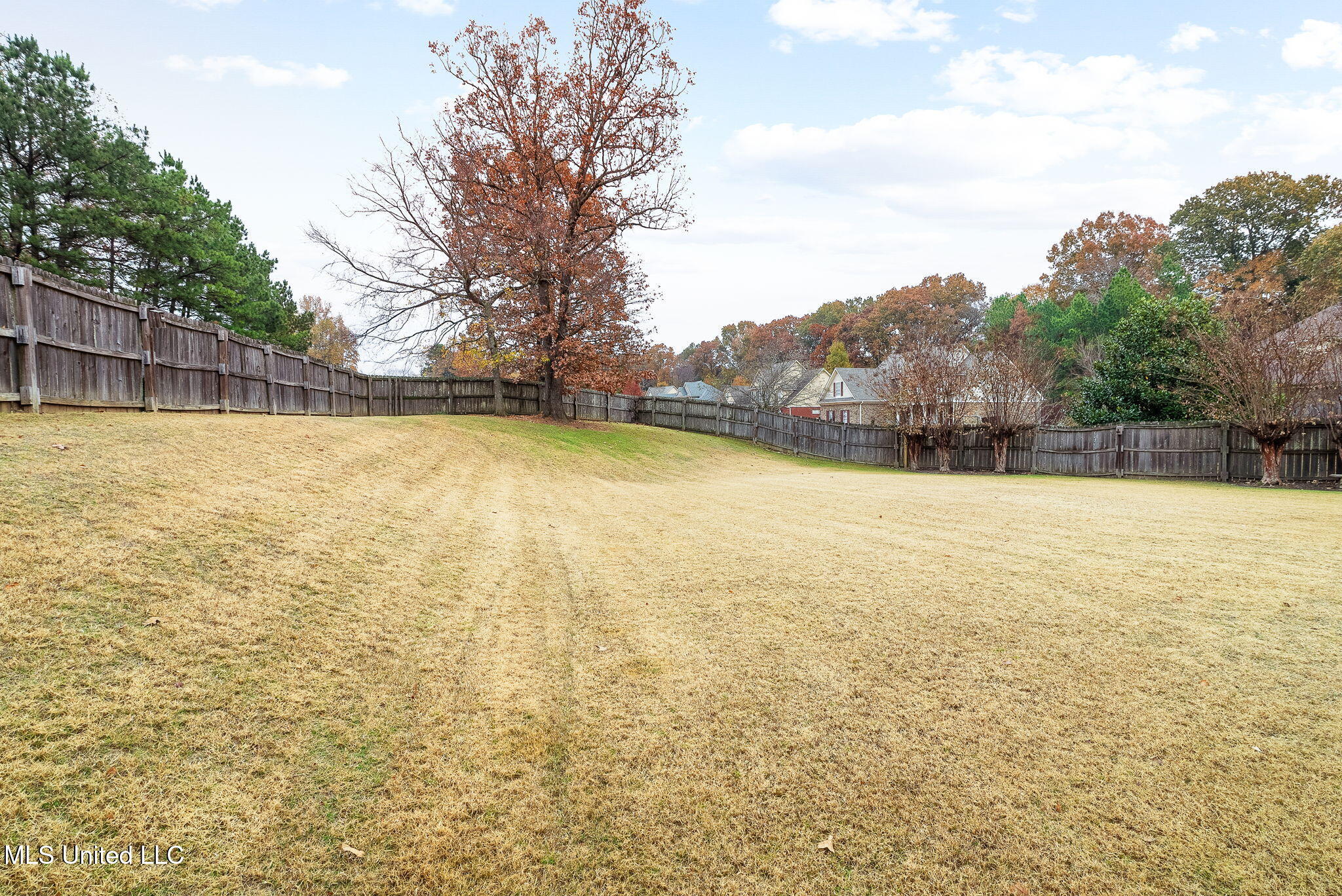 3456 Susie Circle Nesbit, MS 38651 - Photo 40 of 50 Privacy Fenced backyard!