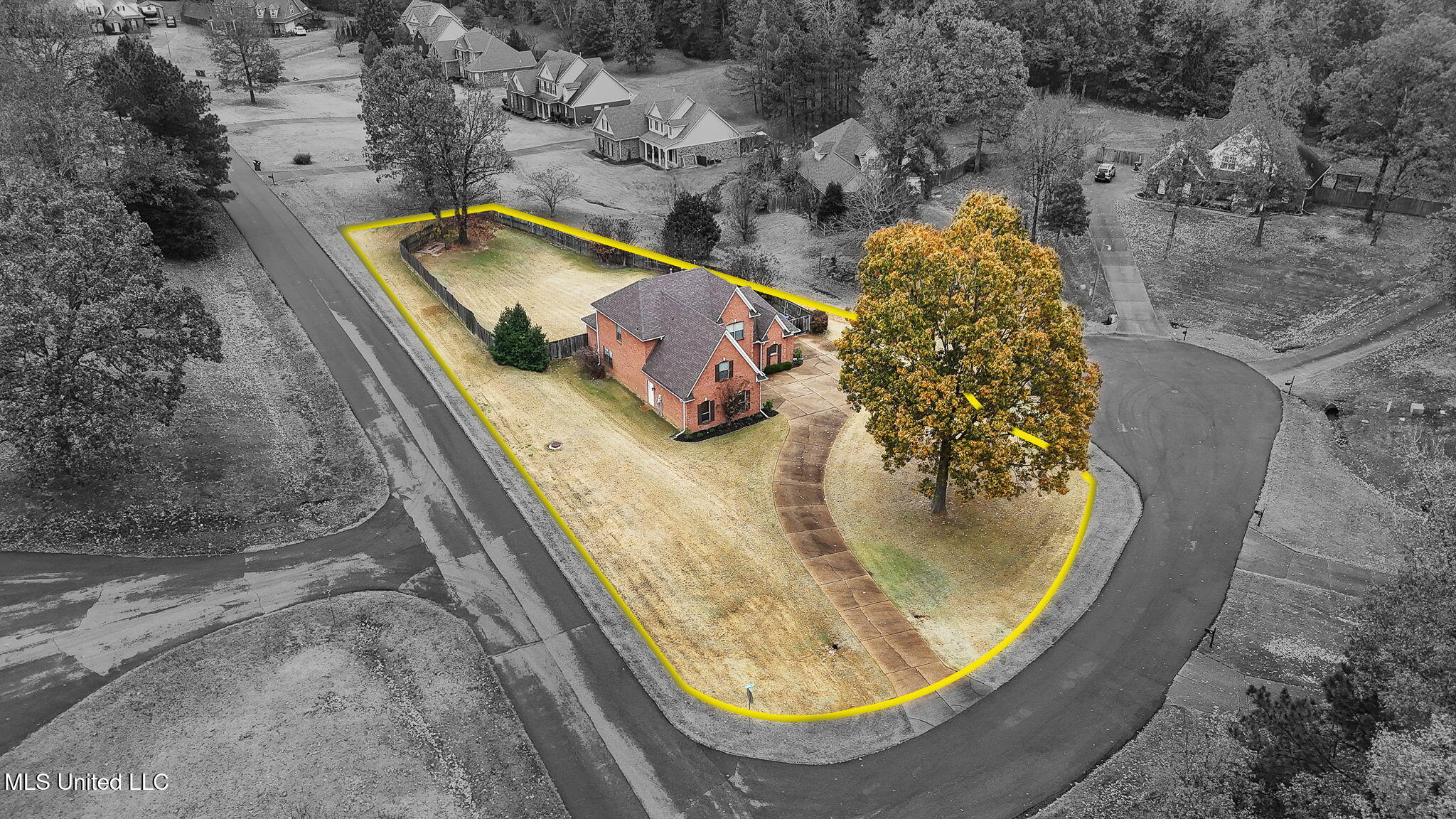3456 Susie Circle Nesbit, MS 38651 - Photo 49 of 50 Property Lines!