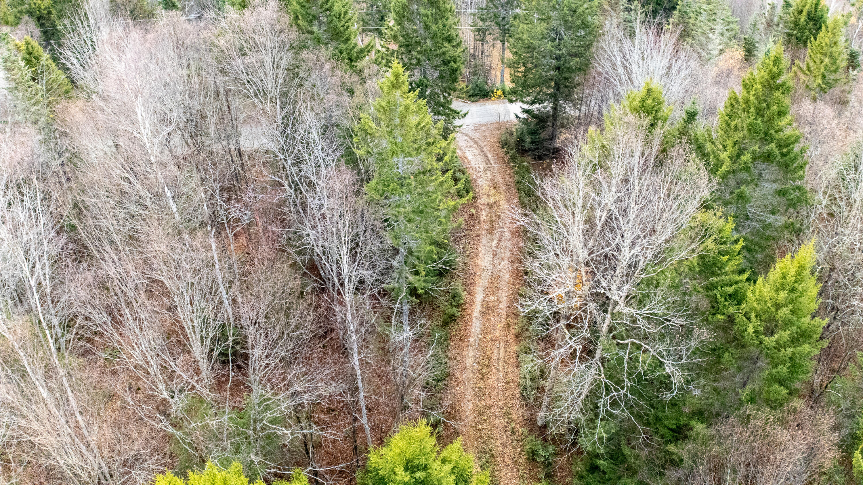 Lot 8 Sunset Way Whiting, ME 04691 - Photo 5 of 14 LOT 8 SUNSET-06