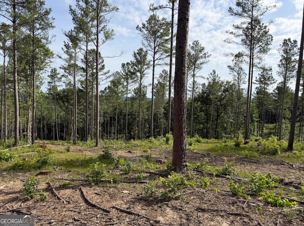 0 Mt Sinai Road, Unit LOT 2 Lula, GA 30554 - Photo 44 of 68