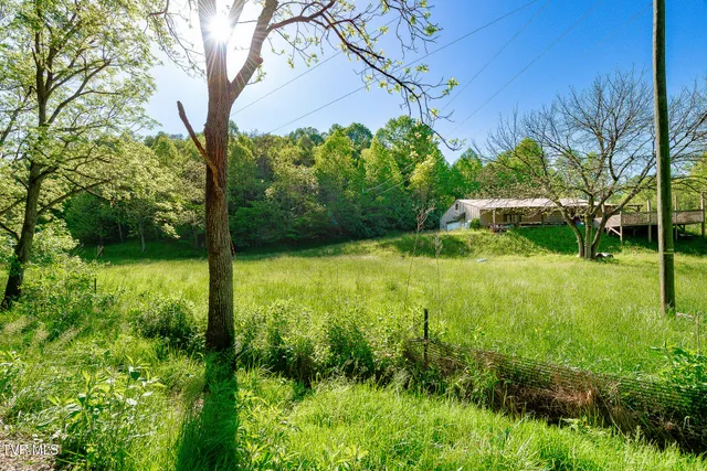 $280,000 | 1668 Fowlers Br Road, Hiltons, VA 24258