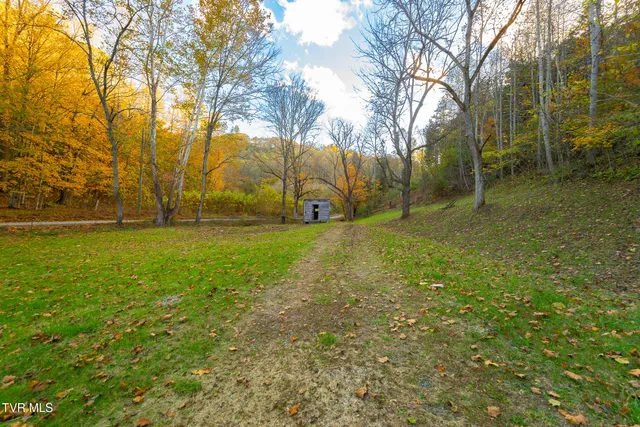 $280,000 | 1668 Fowlers Br Road, Hiltons, VA 24258