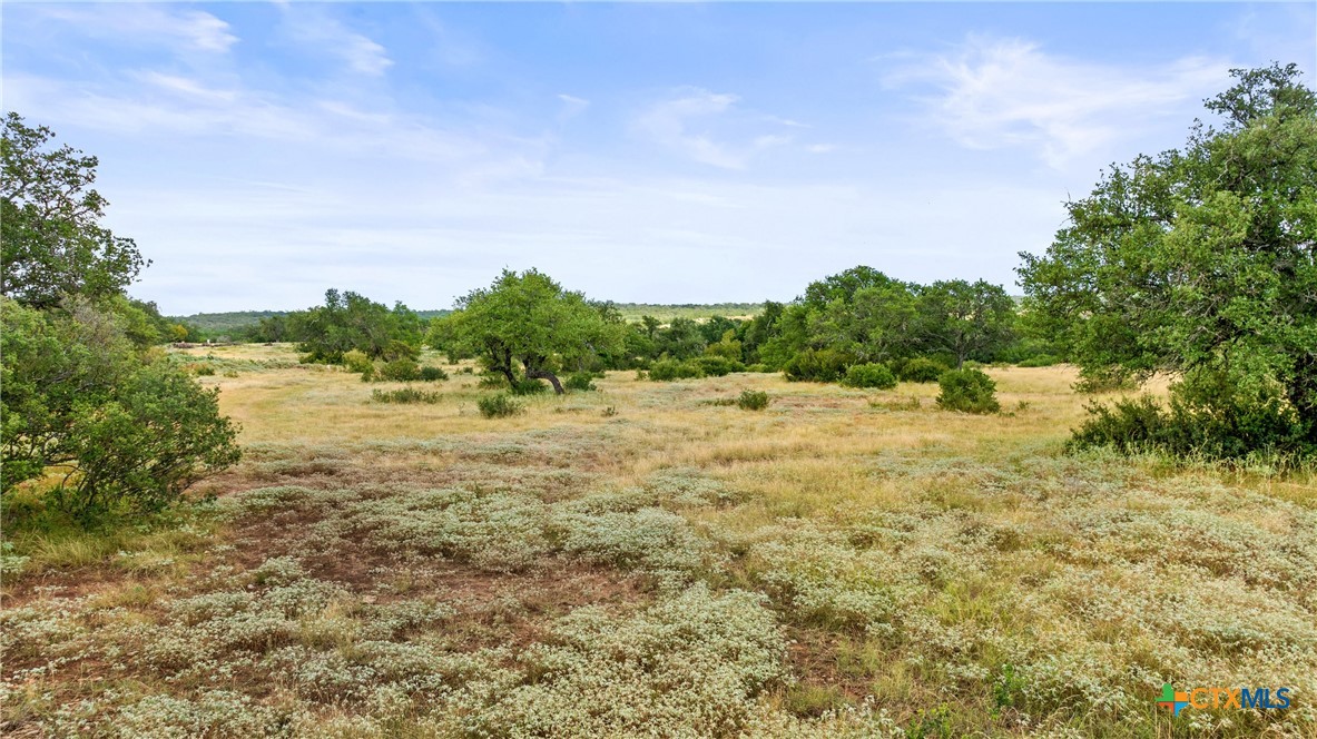 Lot 37 Vista Rdg Drive Round Mountain, TX 78663 - Photo 18 of 31 Gallery Image 18