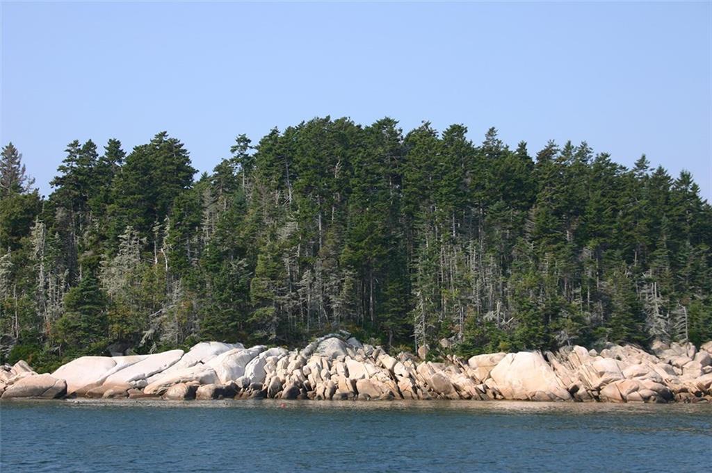 1 High Island Tenants Harbor, ME 04860 - Photo 16 of 22 Photo