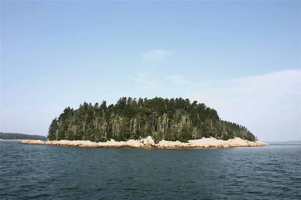 1 High Island Tenants Harbor, ME 04860 - Photo 22 of 22 Photo