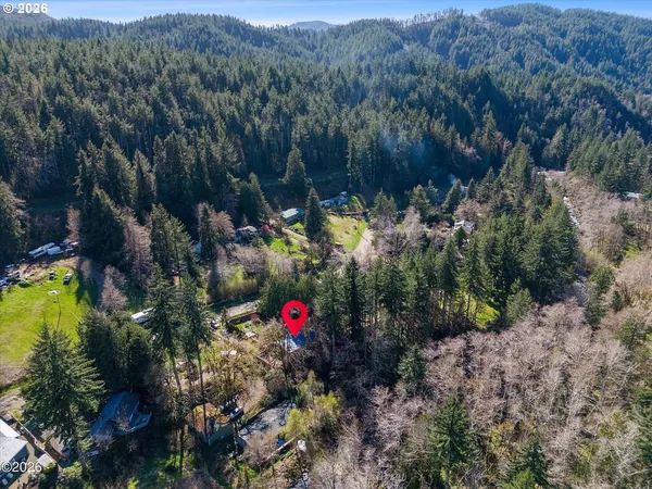 a view of a lush green hillside and a houses