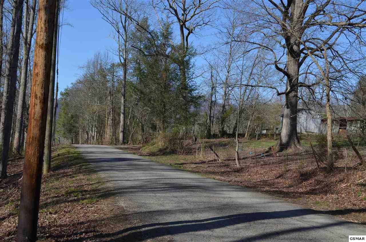 0 Tom Henry Road Townsend, TN 37882 - Photo 1 of 5 Gallery Image 1