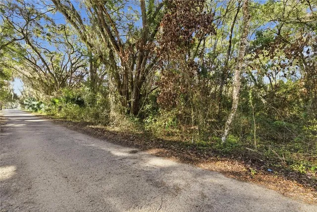 a view of a yard with a tree