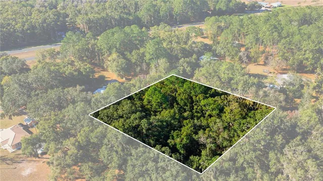 a view of a yard with plants