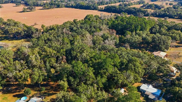 a view of a garden with plants