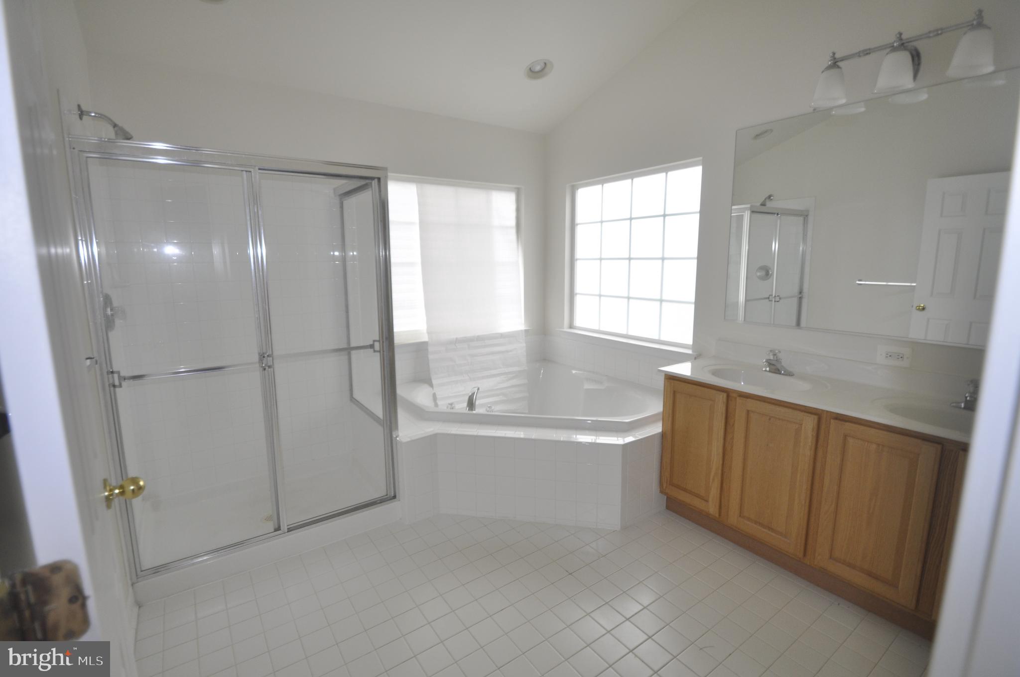 23049 Birch Mead Road Clarksburg, MD 20871 - Photo 12 of 26 Master Bath