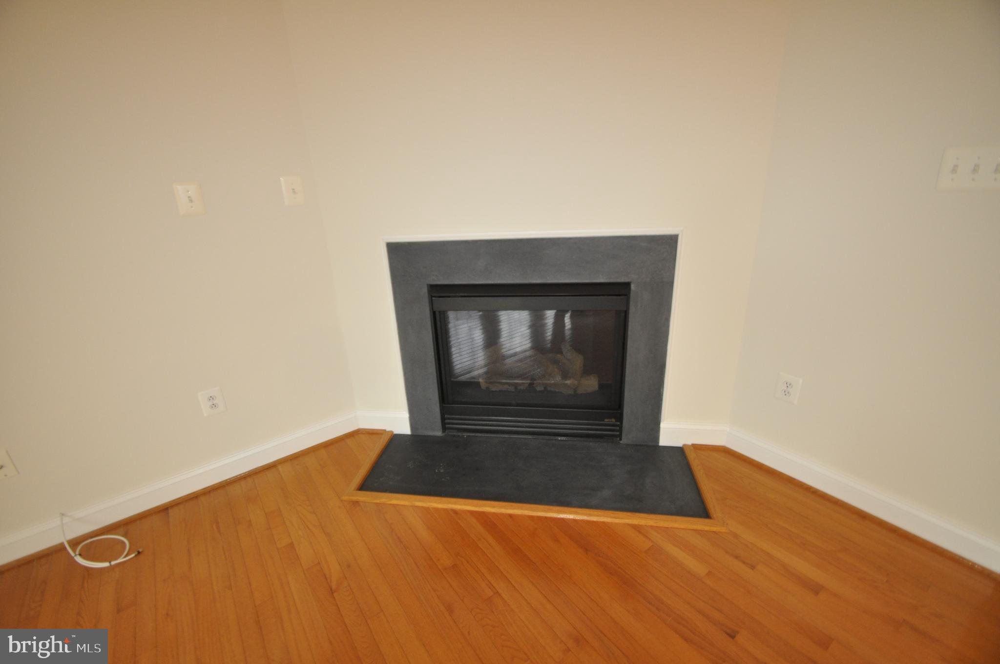 23049 Birch Mead Road Clarksburg, MD 20871 - Photo 5 of 26 Kitchen gas fireplace