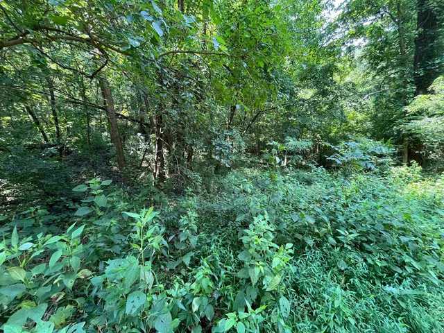 $53,000 | 0 Canyon Lake, Worthington, IN 47471