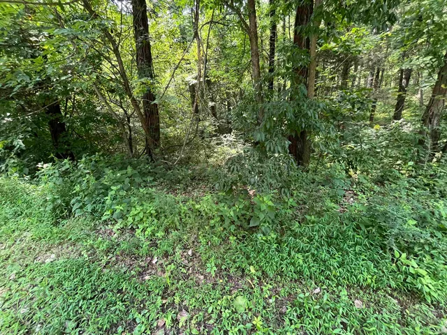 $53,000 | 0 Canyon Lake, Worthington, IN 47471