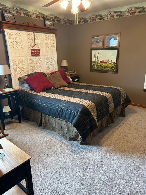 406 Johnson Place Palmyra, MO 63461 - Photo 28 of 38