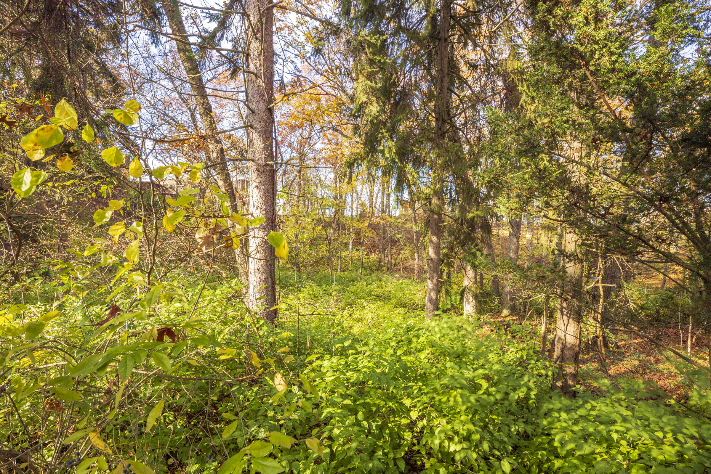 0 Ridge Road Michigan City, IN 46360 - Photo 15 of 18 2400x1601