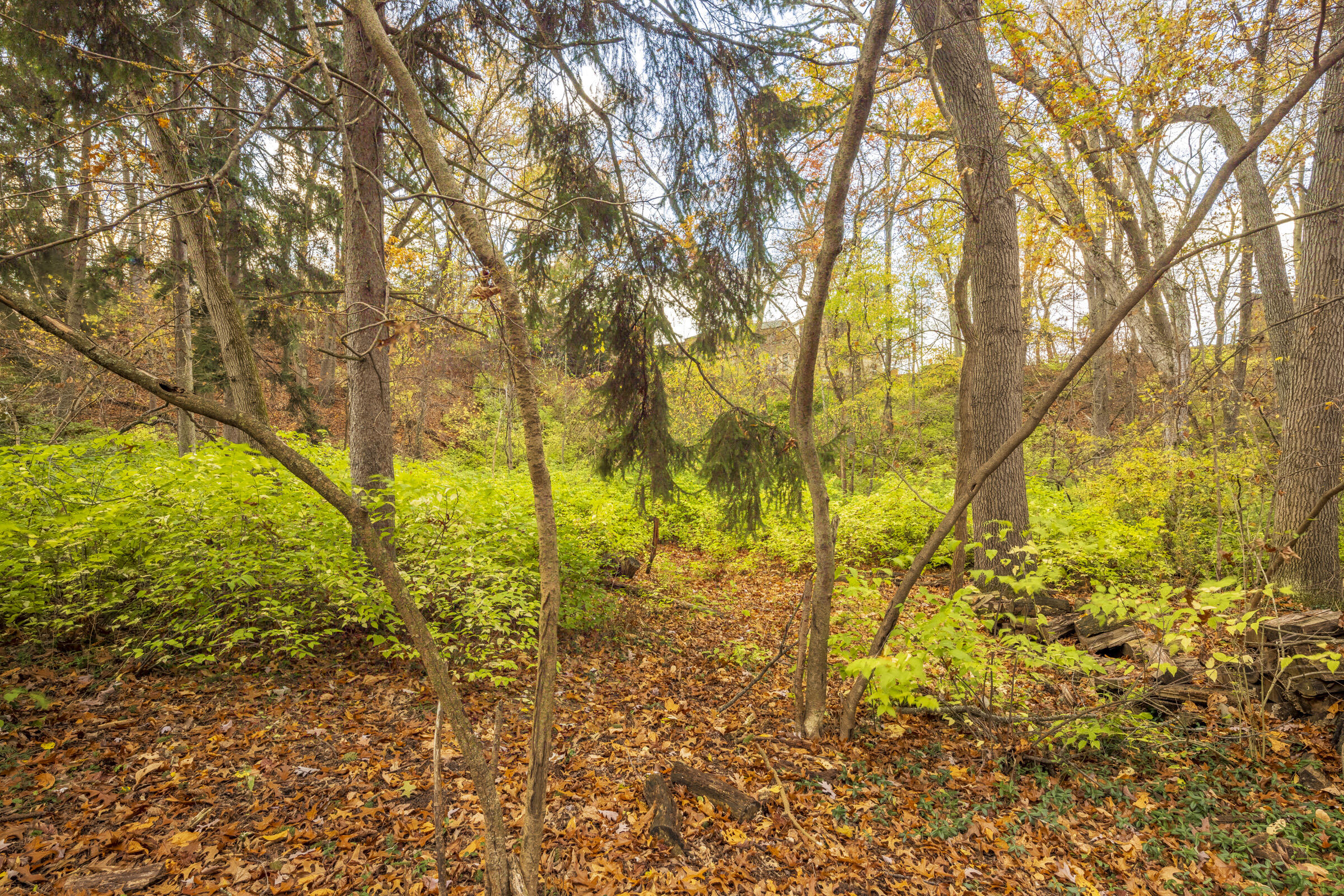 0 Ridge Road Michigan City, IN 46360 - Photo 16 of 18 2400x1601