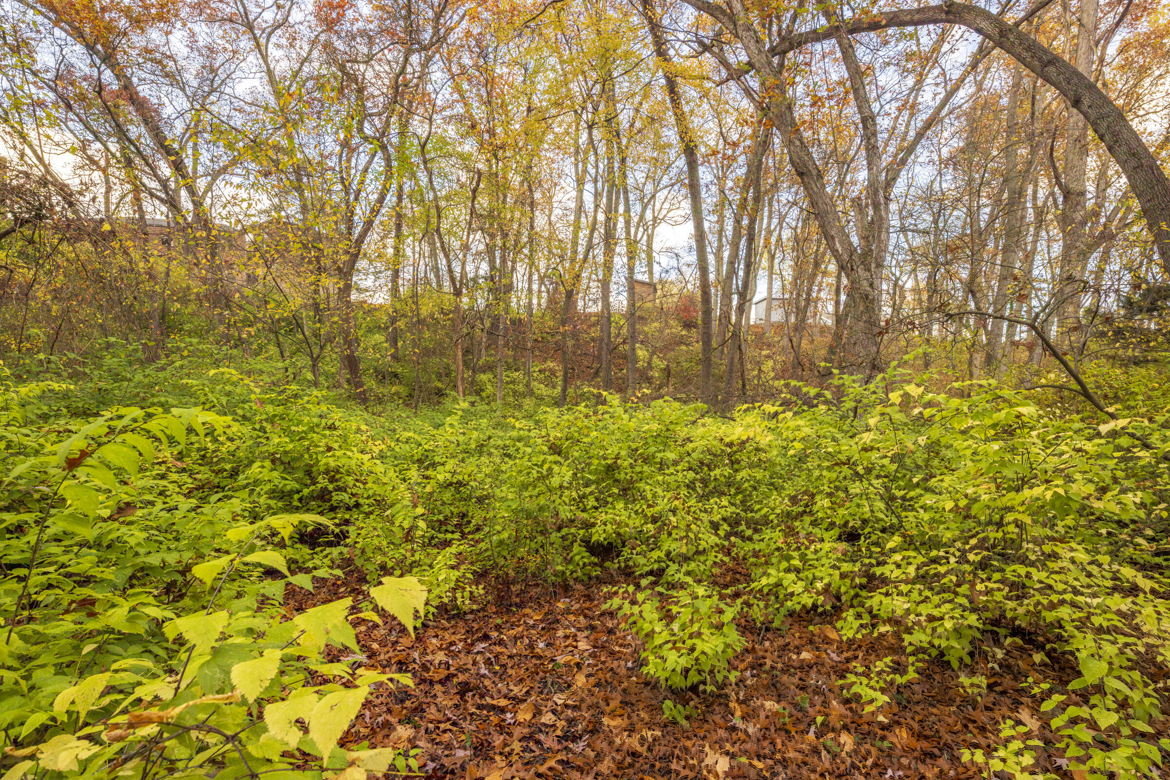 0 Ridge Road Michigan City, IN 46360 - Photo 17 of 18 2400x1601