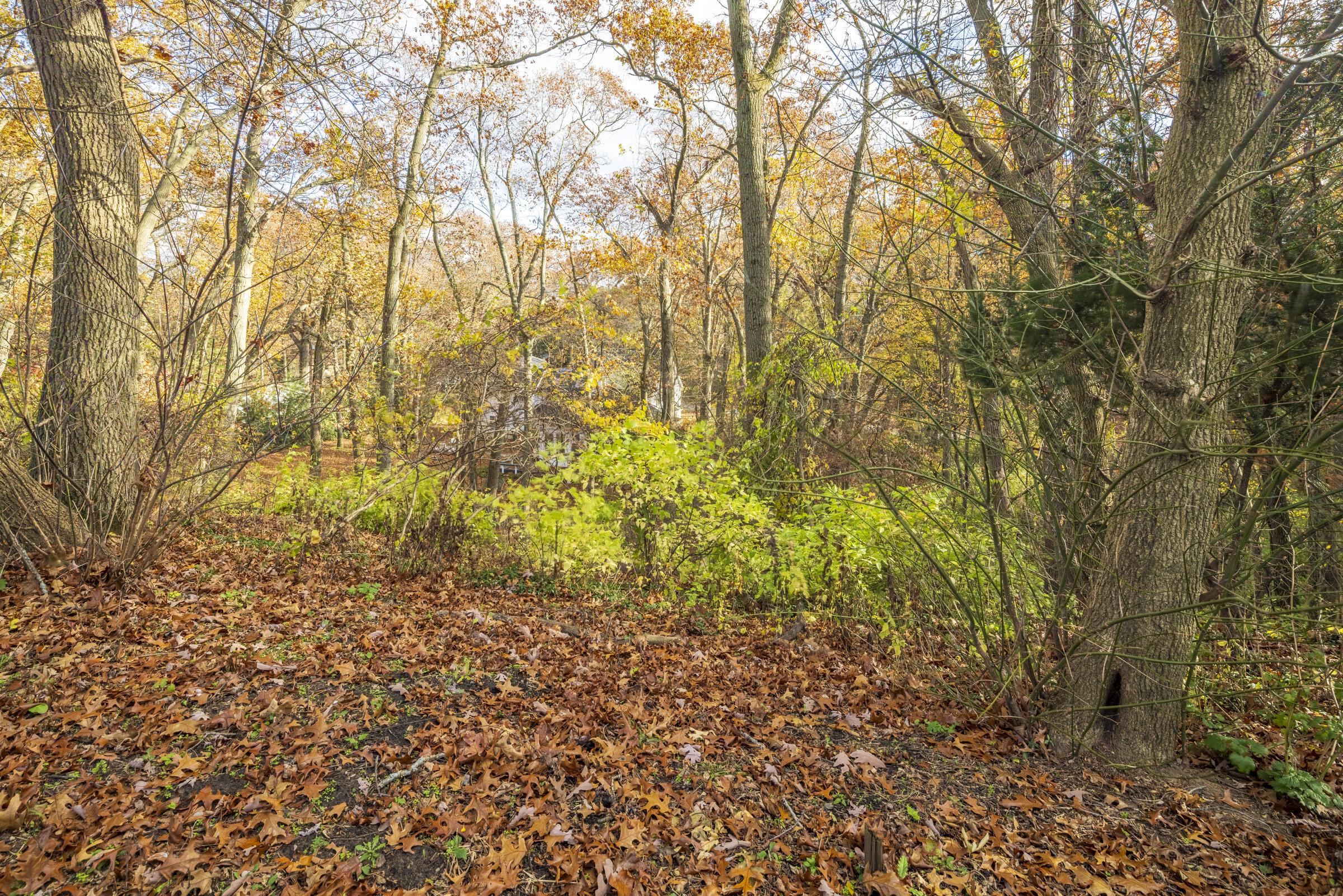 0 Ridge Road Michigan City, IN 46360 - Photo 10 of 18 2400x1601