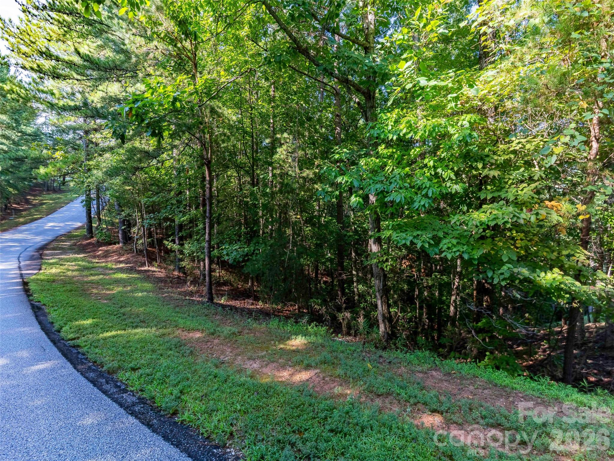0 Deep Gap Farm Road East, Unit 34 Mill Spring, NC 28756 - Photo 2 of 11 Gallery Image 2