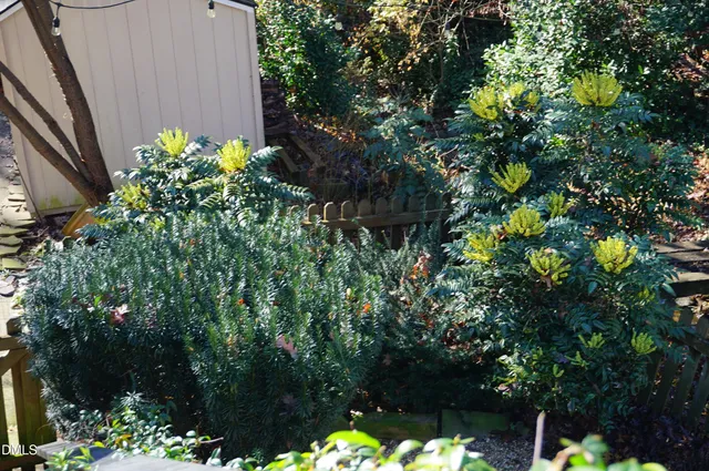 $555,000 | 5013 Hollyridge Drive, Raleigh, NC 27612