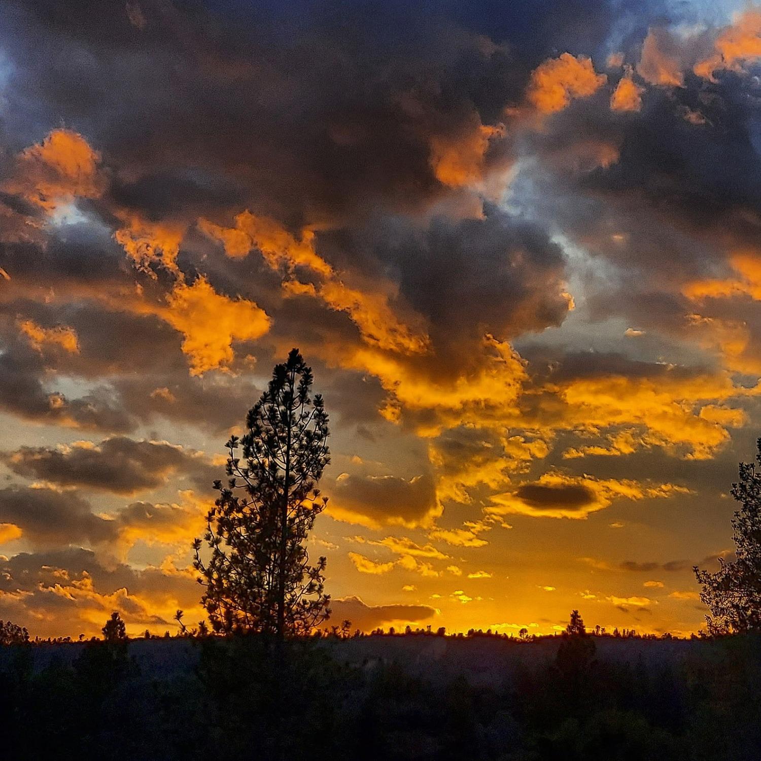 23003 Pleasant Valley Road North San Juan, CA 95960 - Photo 19 of 47