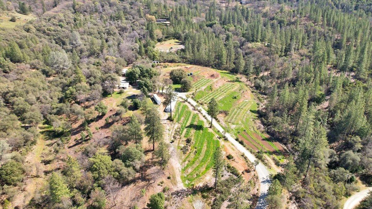 23003 Pleasant Valley Road North San Juan, CA 95960 - Photo 22 of 47 an aerial view of a residential houses with yard