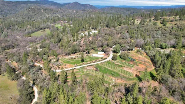 a view of a yard with plants