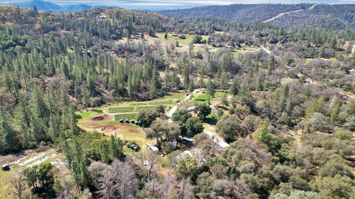 23003 Pleasant Valley Road North San Juan, CA 95960 - Photo 25 of 47 an aerial view of residential house with parking space and trees