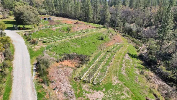 a view of a park with large trees