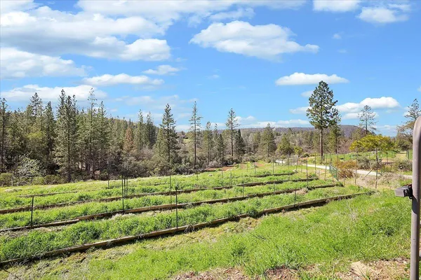 a view of a backyard