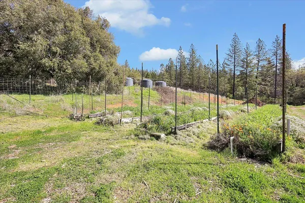 a view of a park with large trees