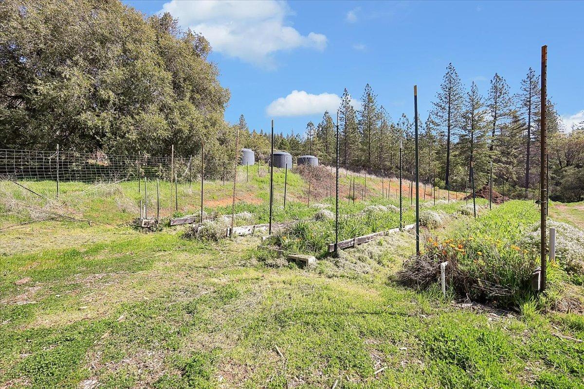 23003 Pleasant Valley Road North San Juan, CA 95960 - Photo 35 of 47 a view of an outdoor space and a yard