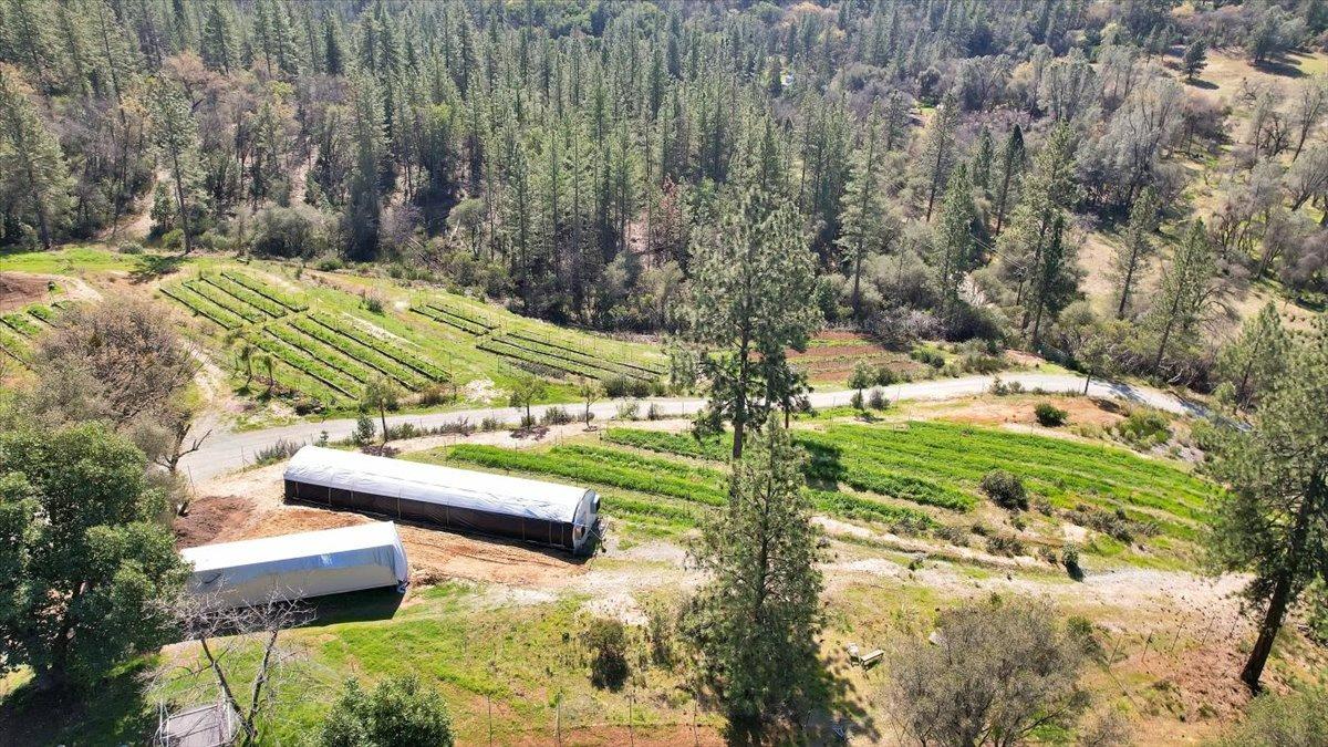 23003 Pleasant Valley Road North San Juan, CA 95960 - Photo 37 of 47 a view of a yard with an outdoor space