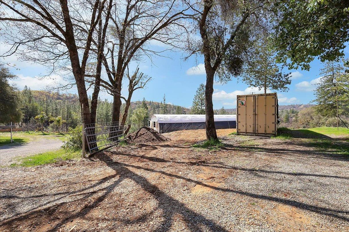 23003 Pleasant Valley Road North San Juan, CA 95960 - Photo 40 of 47 a view of a park with large trees