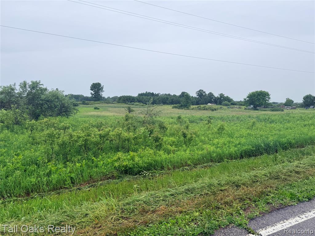 761 East Millington Road Mayville, MI 48744 - Photo 2 of 4