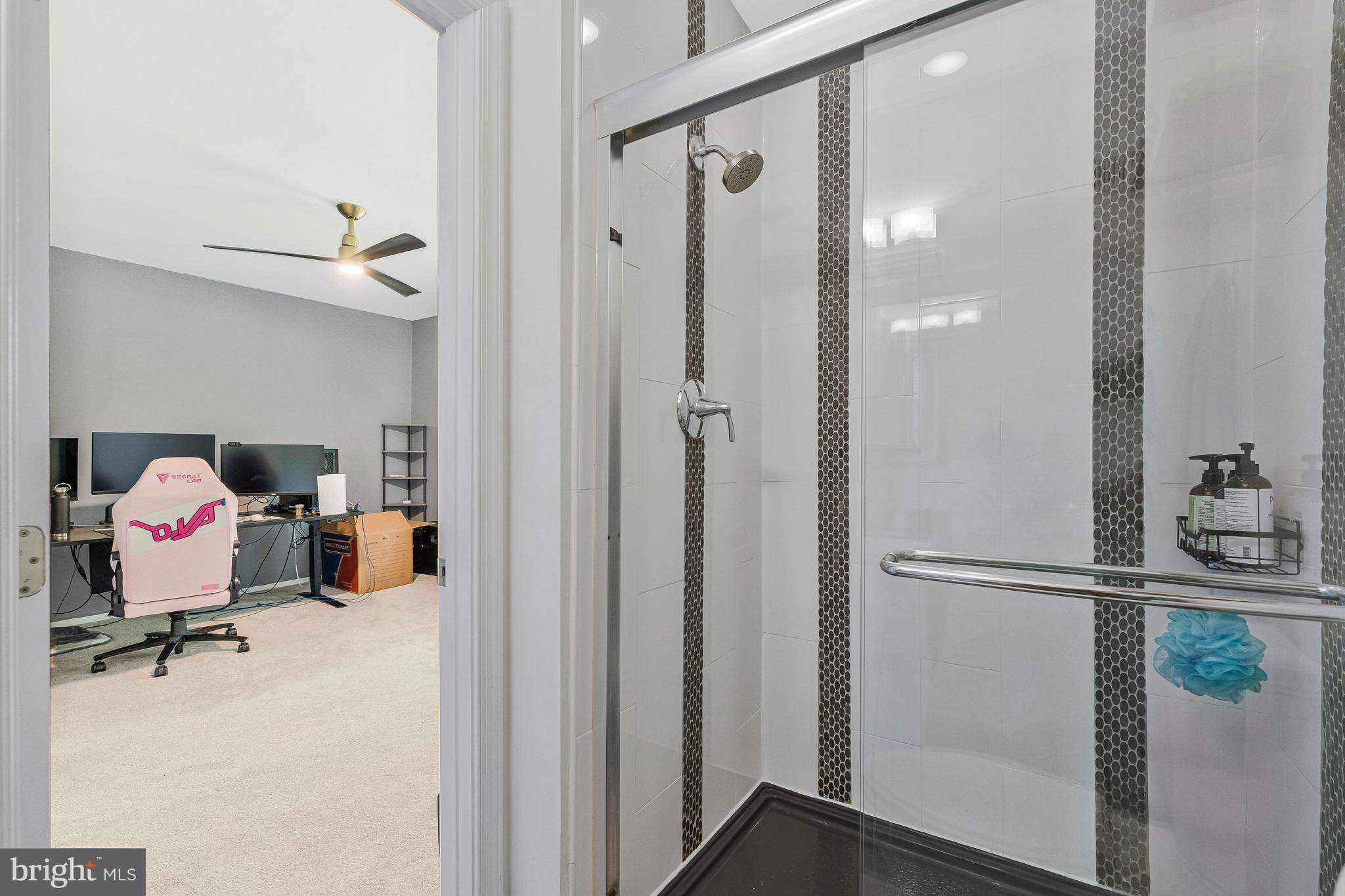 11852 St Trinians Court Reston, VA 20191 - Photo 25 of 48 Primary bathroom