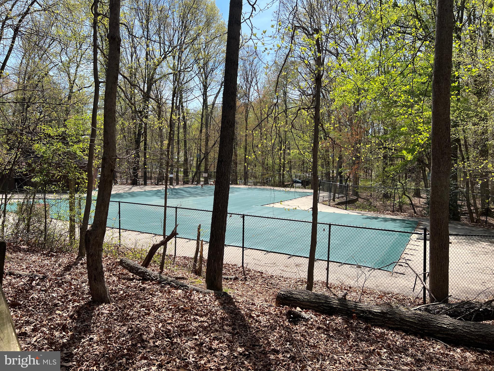 11852 St Trinians Court Reston, VA 20191 - Photo 41 of 48 Deepwood Pool