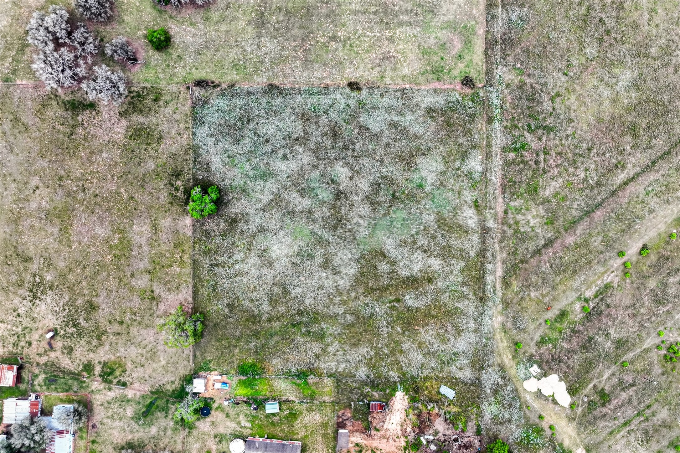 190 Smiley Tx 78159 Smiley, TX 78159 - Photo 16 of 16
