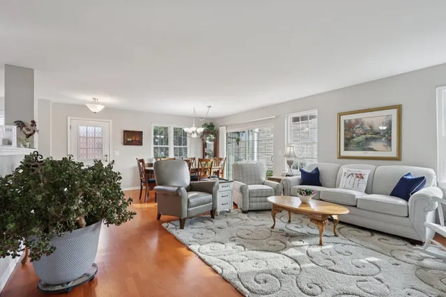 a living room with furniture potted plant and a window