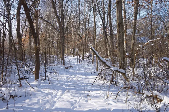 $525,000 | 23429 London Street Northeast, Bethel, MN 55005