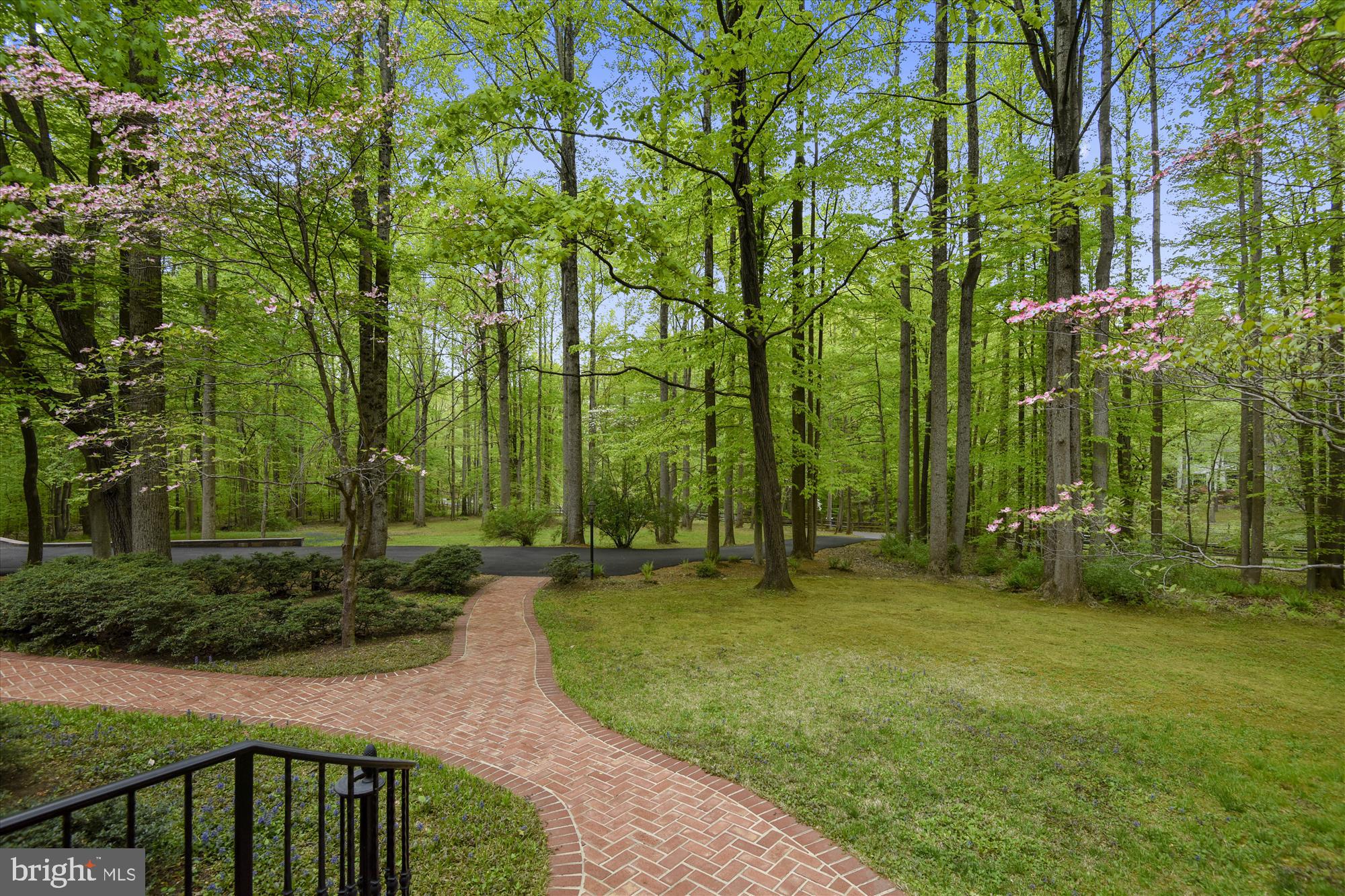 11615 Springtime Lane Fairfax Station, VA 22039 - Photo 2 of 38 a view of a backyard with trees