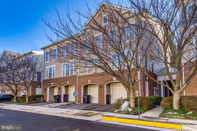 a front view of residential houses with yard and trees